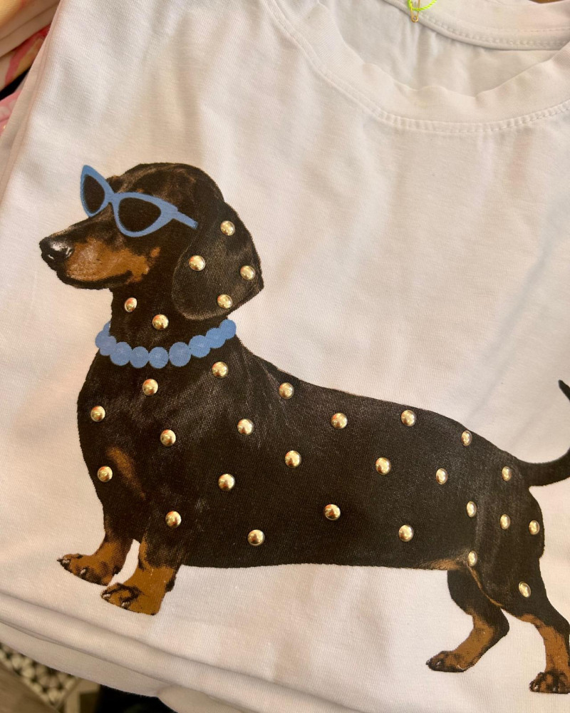 Camiseta Teckel Tachas