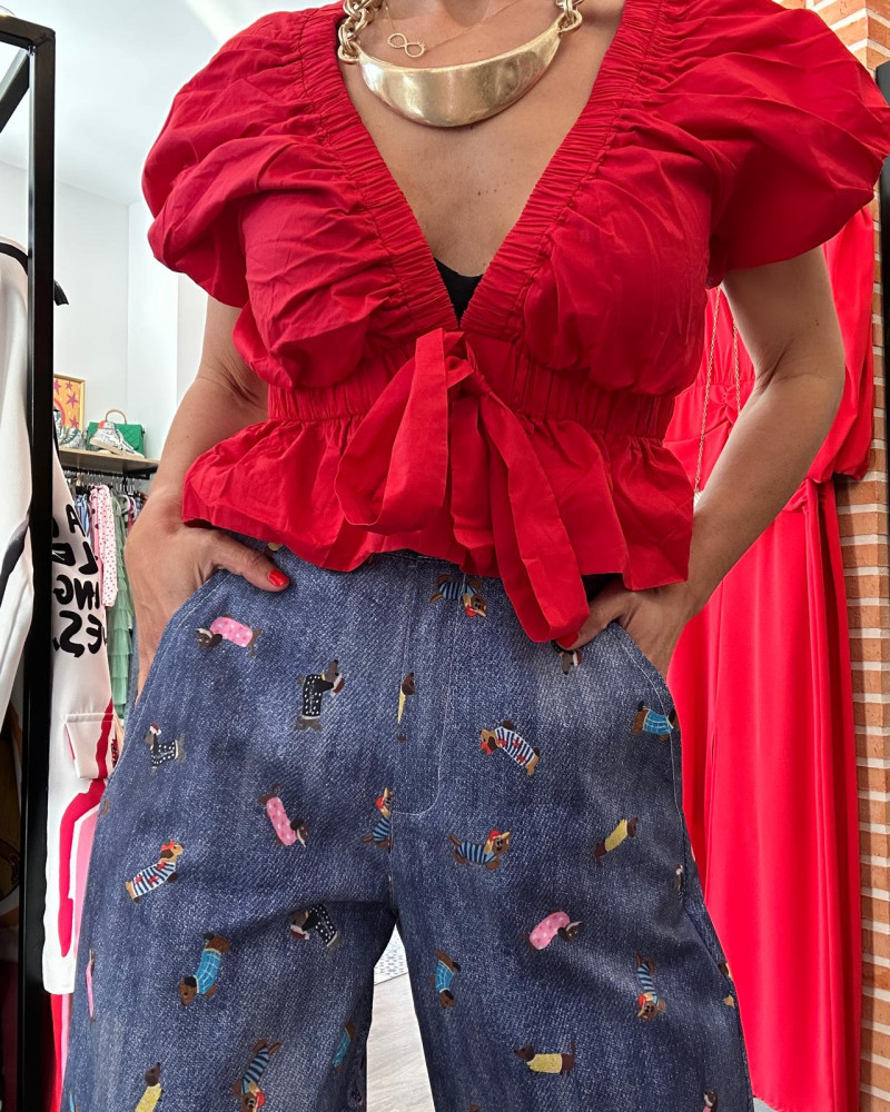 Top Pasión