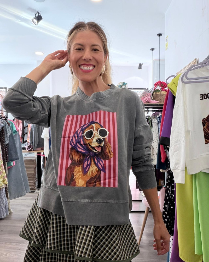 Sudadera perro Spaniel