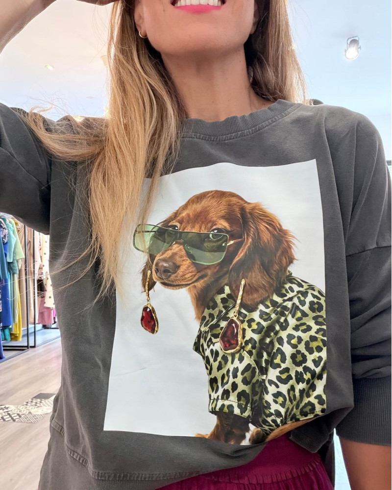 Sudadera perro pendientes