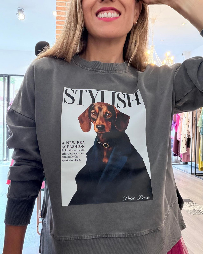 sudadera perro abrigo