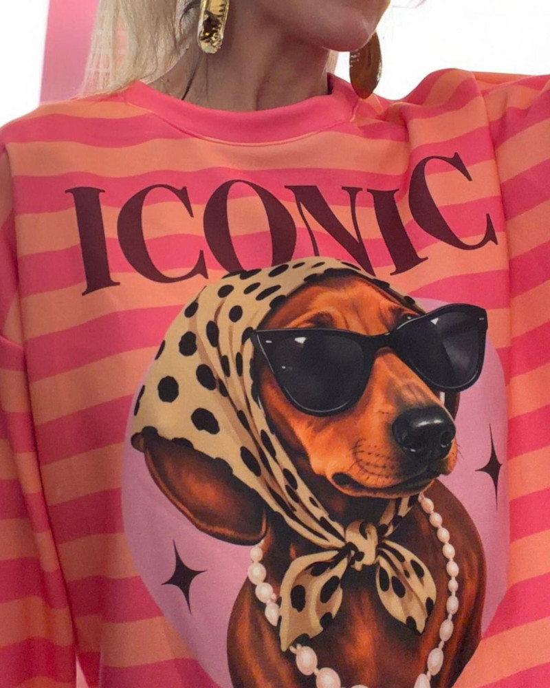 Sudadera Iconic