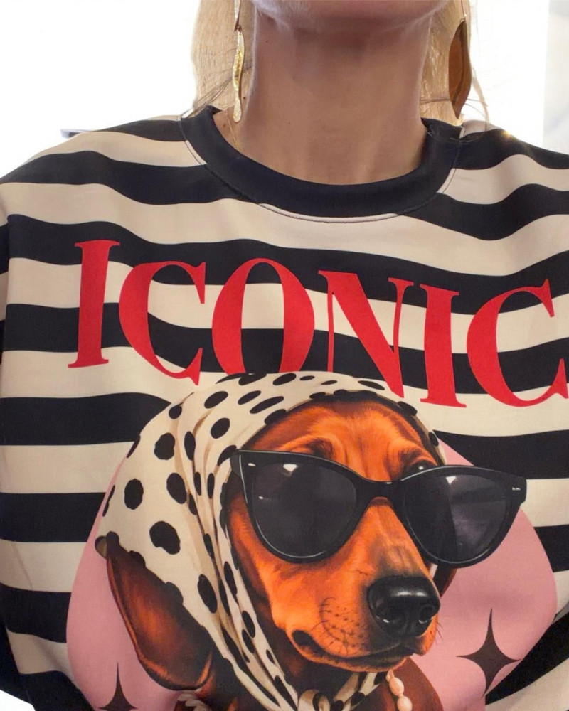 Sudadera Iconic