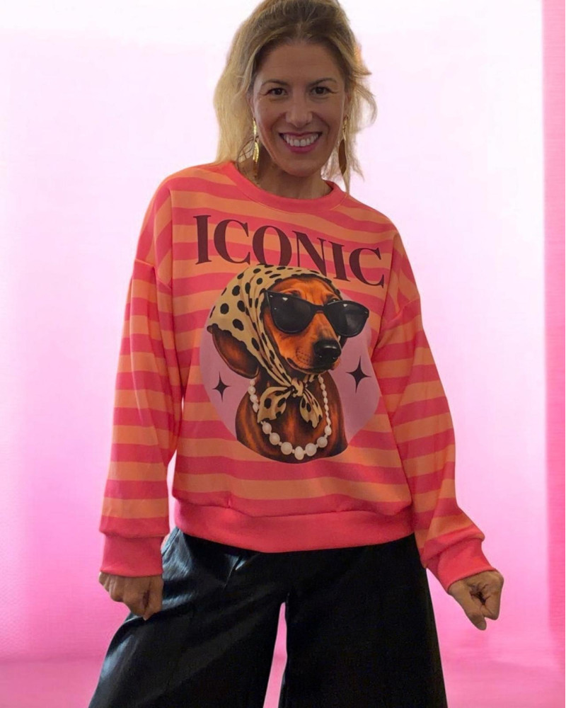 Sudadera Iconic